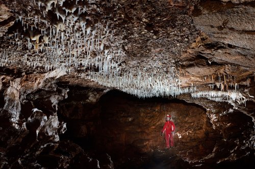 La Combe aux Prêtres - Réseau nord : galerie avec plafond orné de fistuleuses (Personnage en fond)(SP-19-2000 )